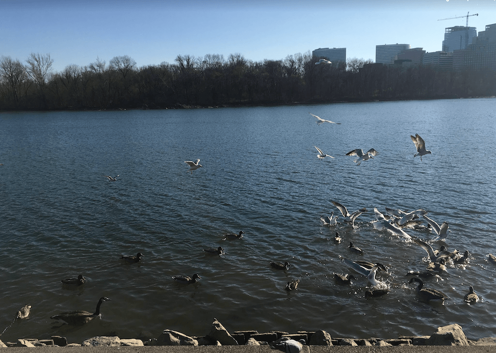 17 saatte 350 iş başvurusu almak - Bu rekabette ne yapacağız?