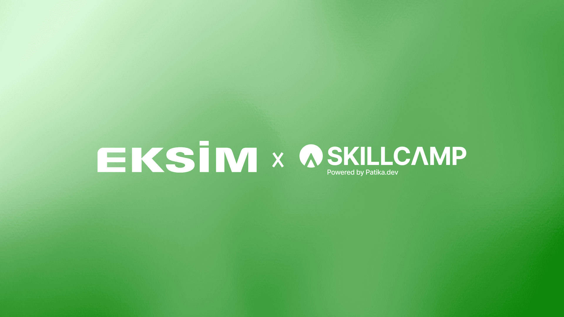 Eksim Holding