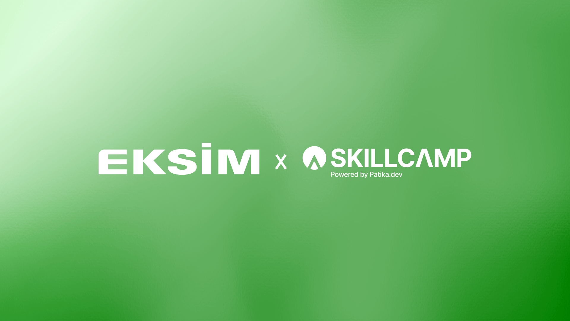 Eksim Holding